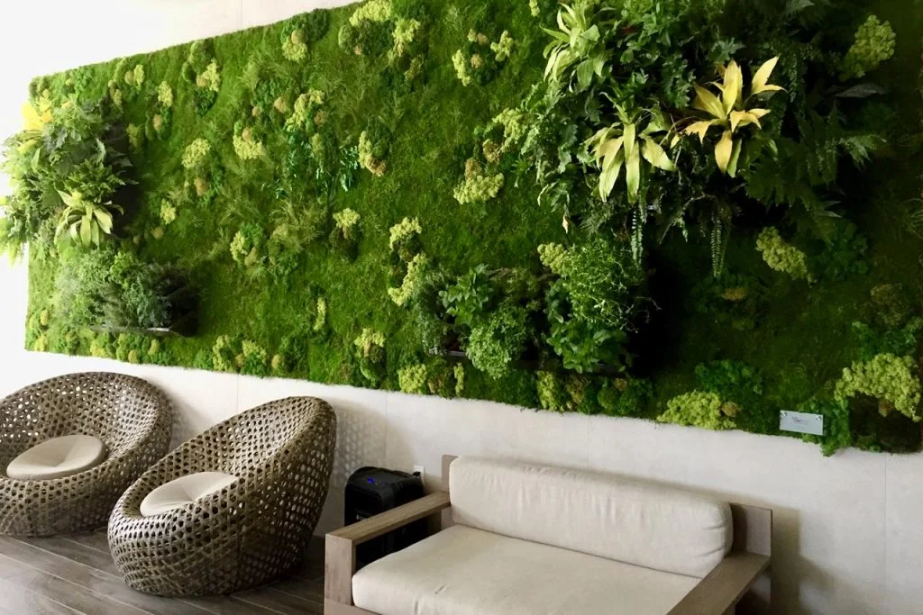 Plant services for indoor