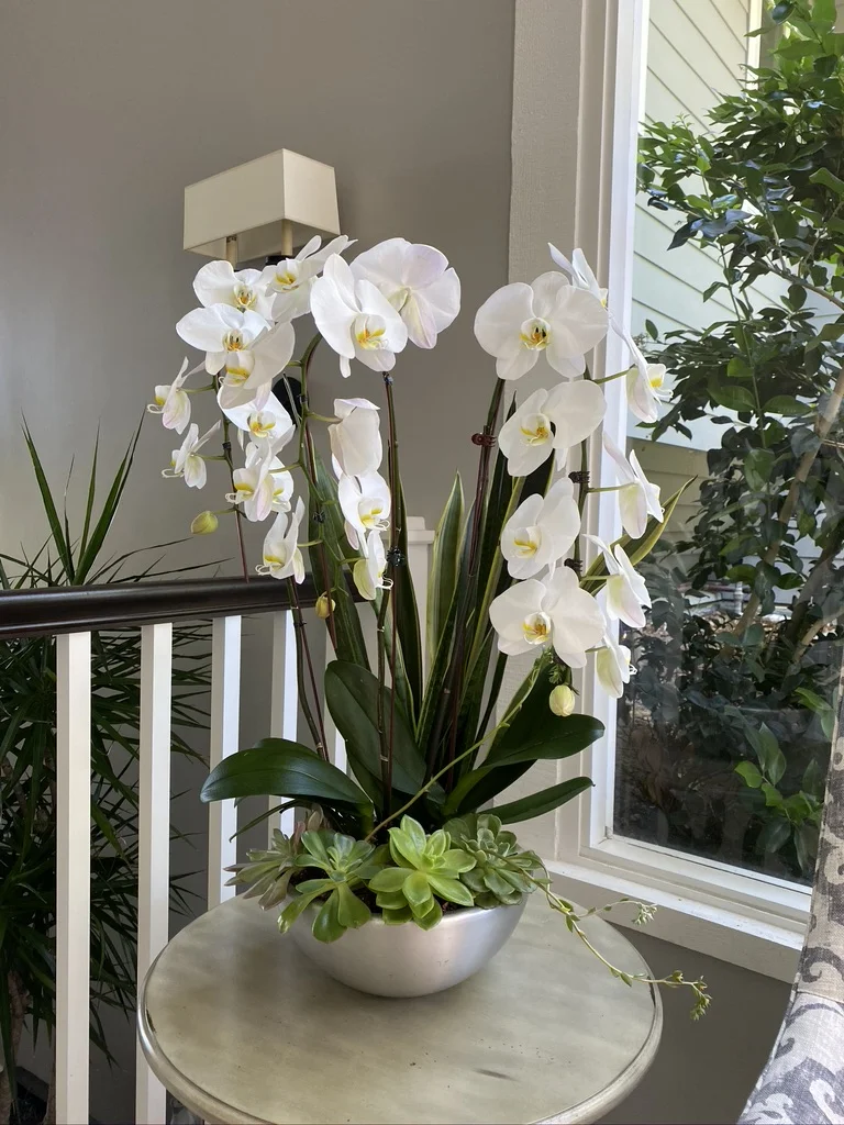 Plant Services