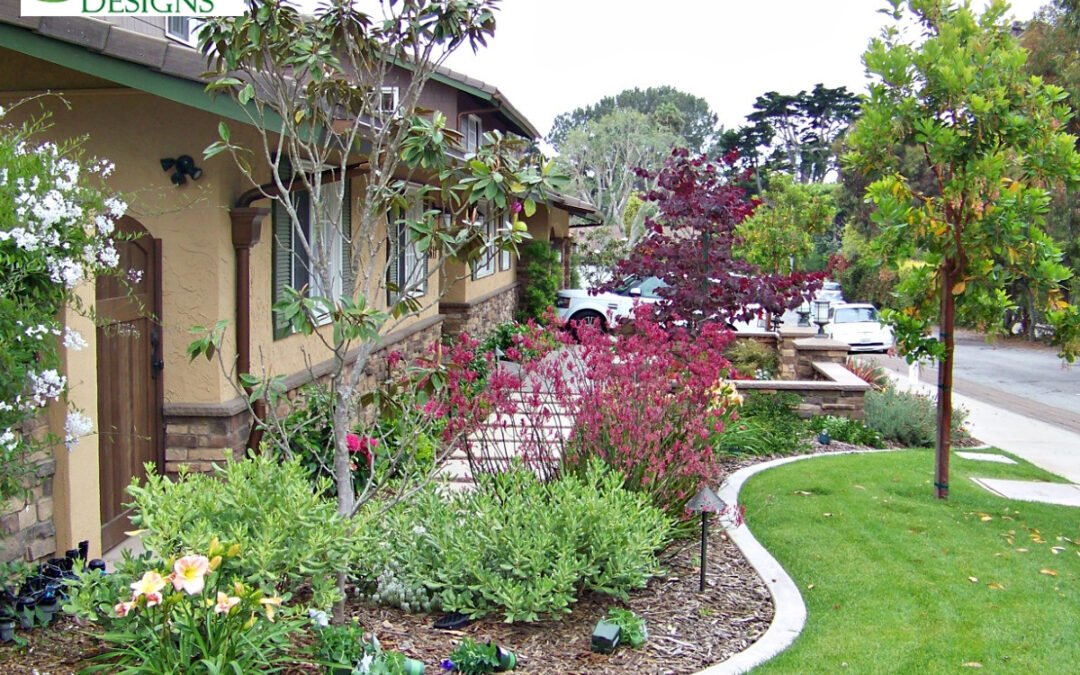 Luxury Outdoor Landscape Design on a Budget for a High-End Look