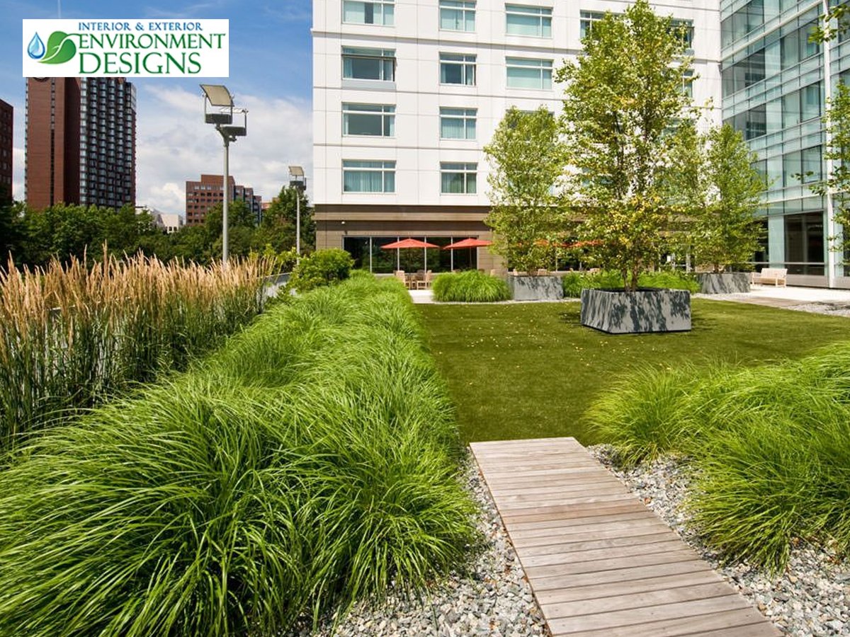 Front Yard Landscape Design in San Diego